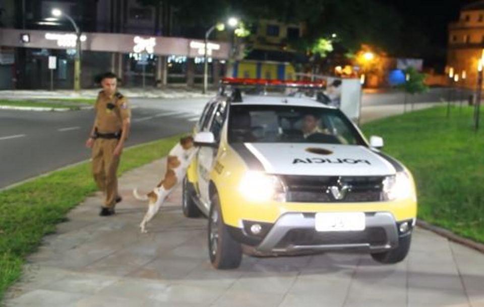 Cachorro se desespera ao ver dono ser preso e levado por viatura