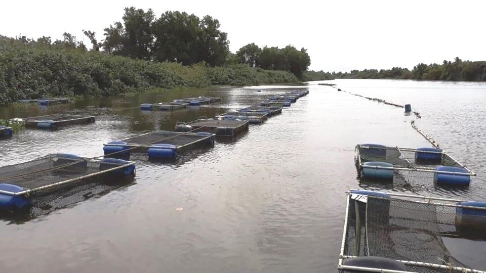 Seag promove projeto de fortalecimento da pesca e da aquicultura no Estado