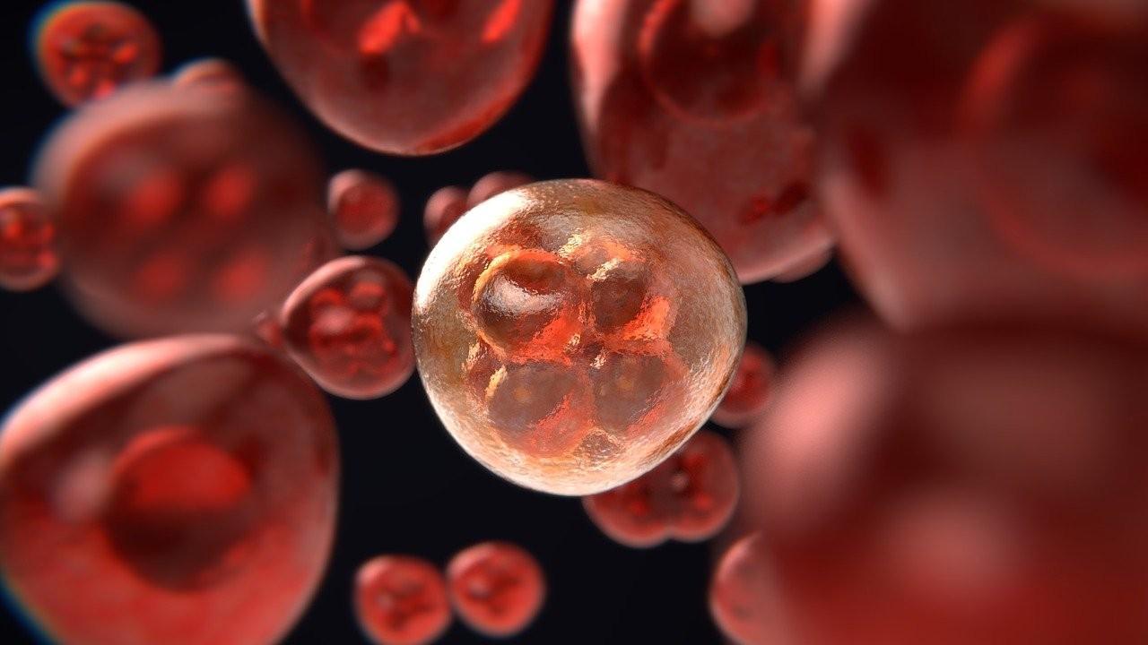 Pesquisadores descobrem como câncer se forma ao analisarem mais de 2.600 genomas