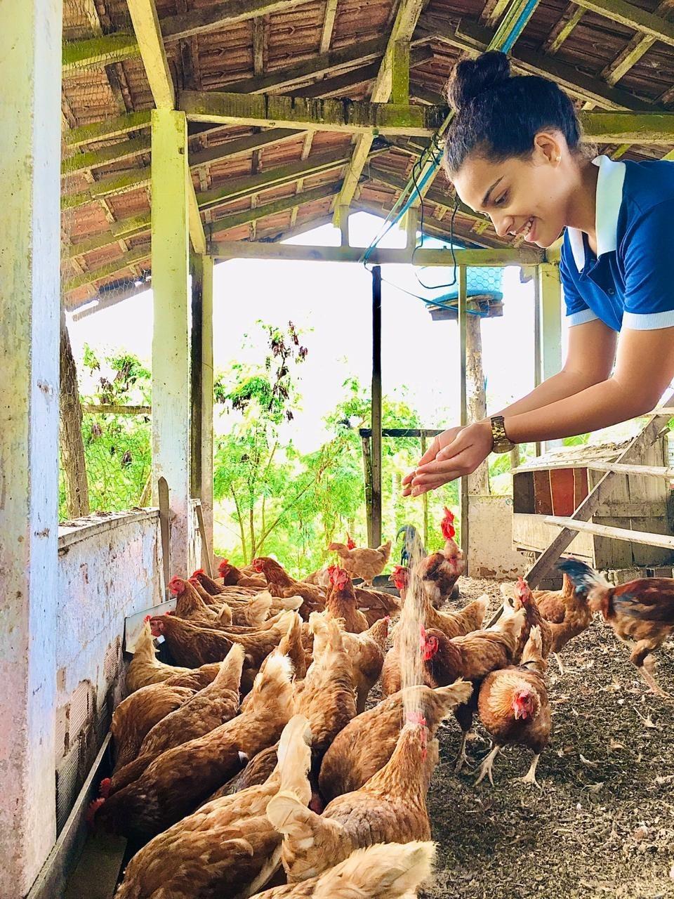 Escola Rural de Tempo Integral em Vila Pavão prepara alunos para mercado agropecuário