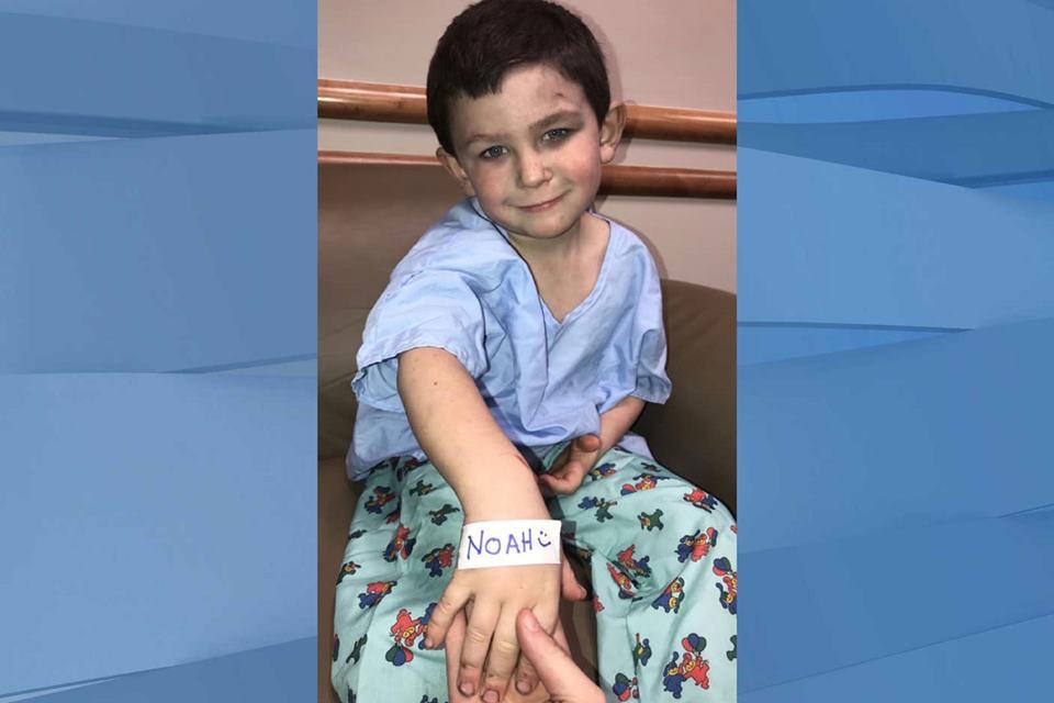 Garoto de 5 anos salva irmã de incêndio e volta para resgatar cão