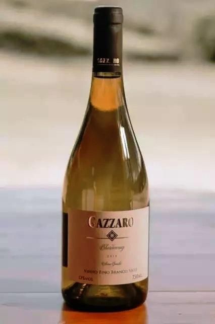 Vinho brasileiro de R$ 38 leva ouro em prêmio na Europa