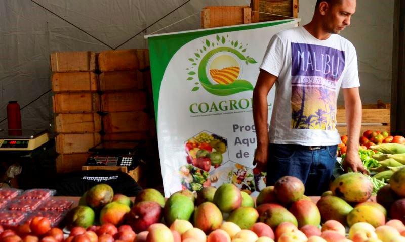 Agricultura prorroga validade de declaração do pequeno produtor