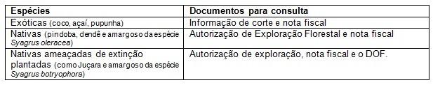 Idaf alerta sobre exigências para corte e comercialização do palmito Idaf alerta sobre exigências para corte e comercialização do palmito