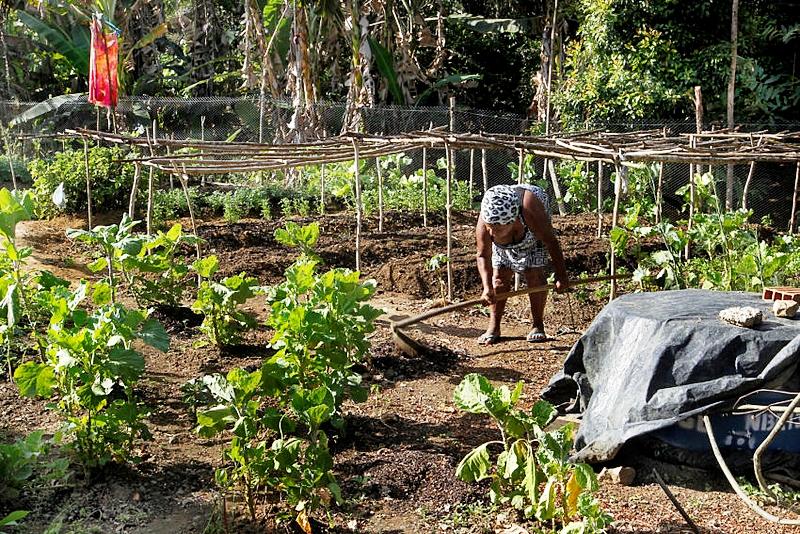 Medidas emergenciais anunciadas pelo governo à agricultura familiar não saem do papel
