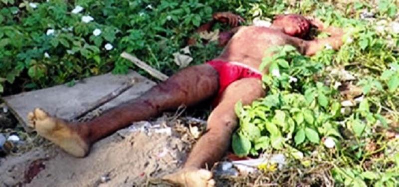 Homem deixa mulher menstruada em casa, tenta abusar de jumenta e leva coice fatal