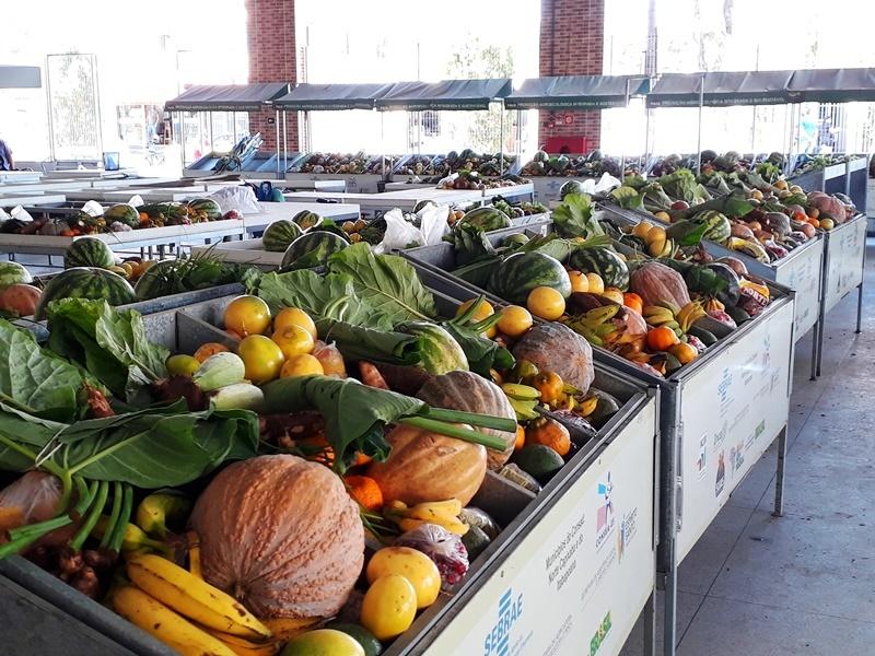 Prefeitura de Boa Esperança entrega cestas de alimentos às famílias de estudantes