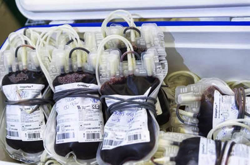 Anvisa mantém veto a doação de sangue por homens gays