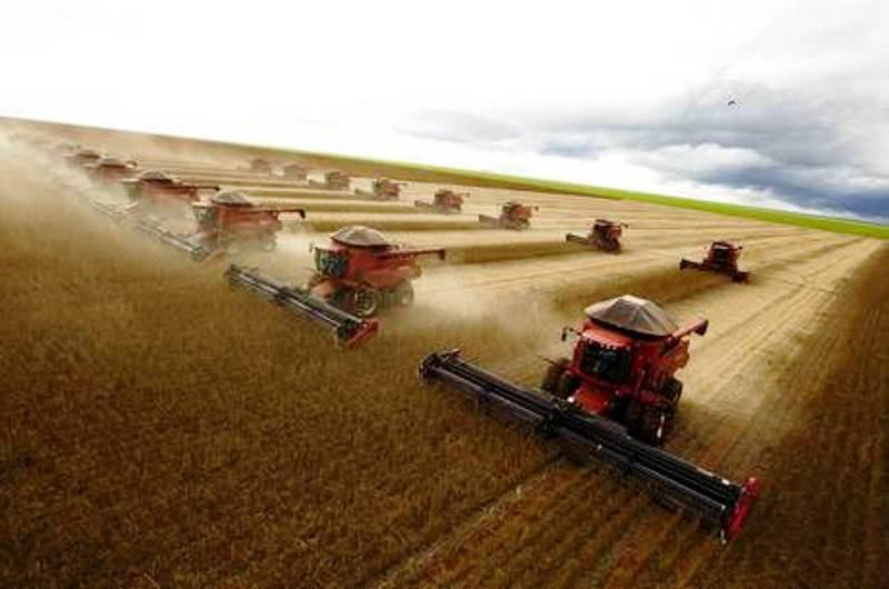Brasil retoma posto de maior produtor de soja do planeta