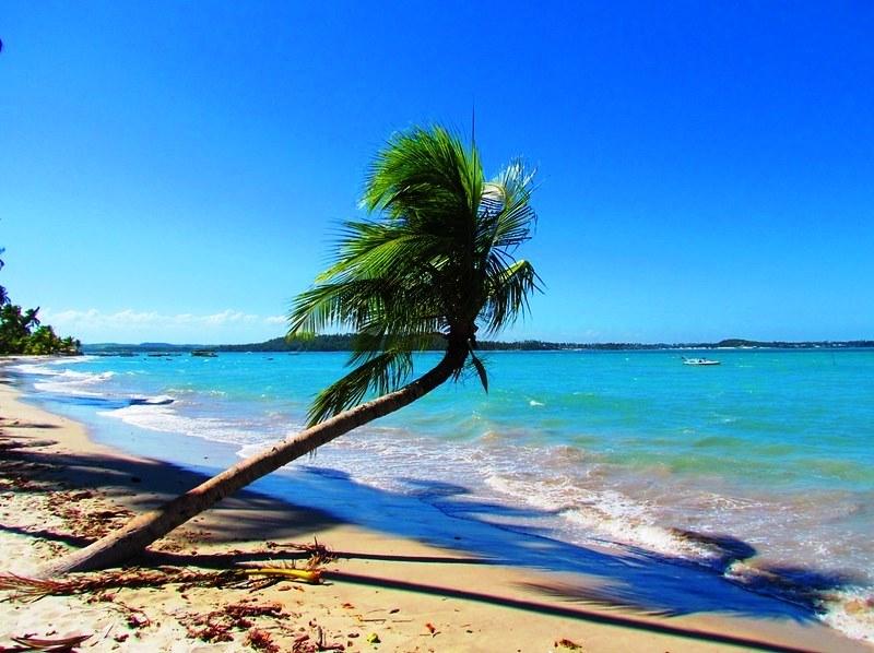 Praia, serra ou parque? 5 pacotes para viajar em 2021 por até R$ 599