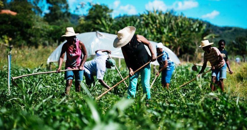 Câmara aprova auxílio emergencial para agricultor familiar na pandemia