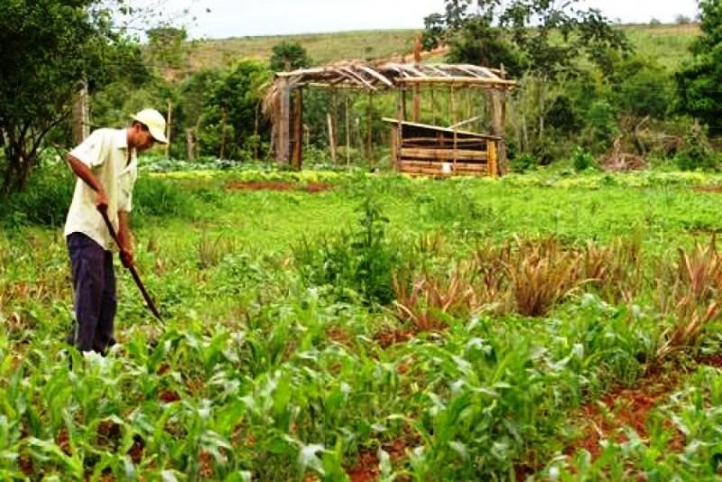 Senado aprova conjunto de medidas para ajudar pequenos produtores