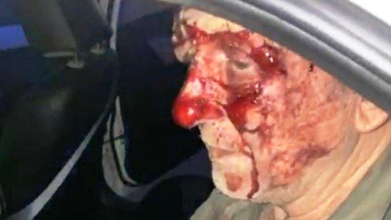 Alemão que gravava pedofilia trazia europeus para abusar de crianças no Rio