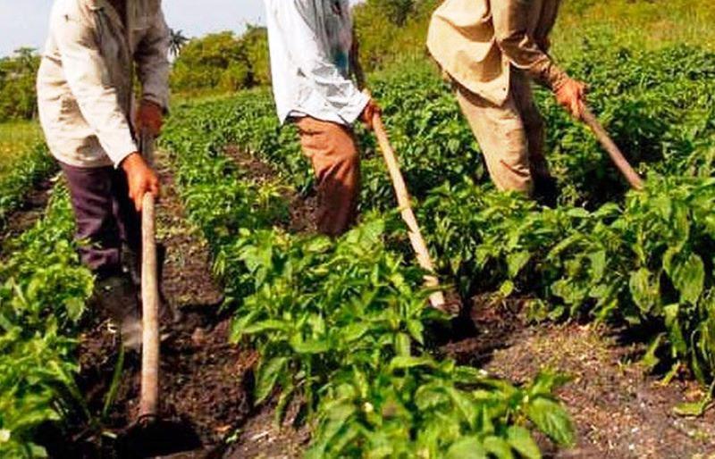 Incaper anuncia novidades para ampliação de crédito rural