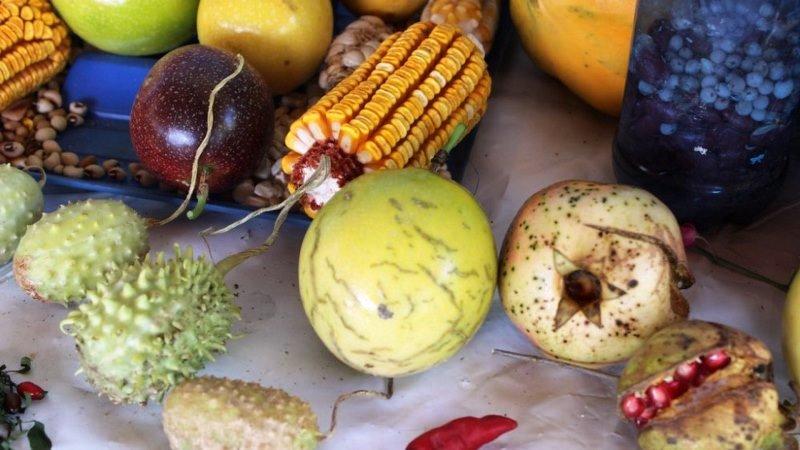 Alimentos são desperdiçados enquanto prefeituras dão merenda industrializada