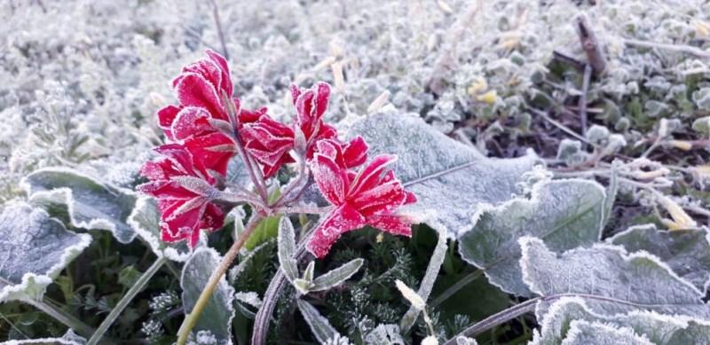 RS amanhece mais um dia com temperaturas negativas e geada