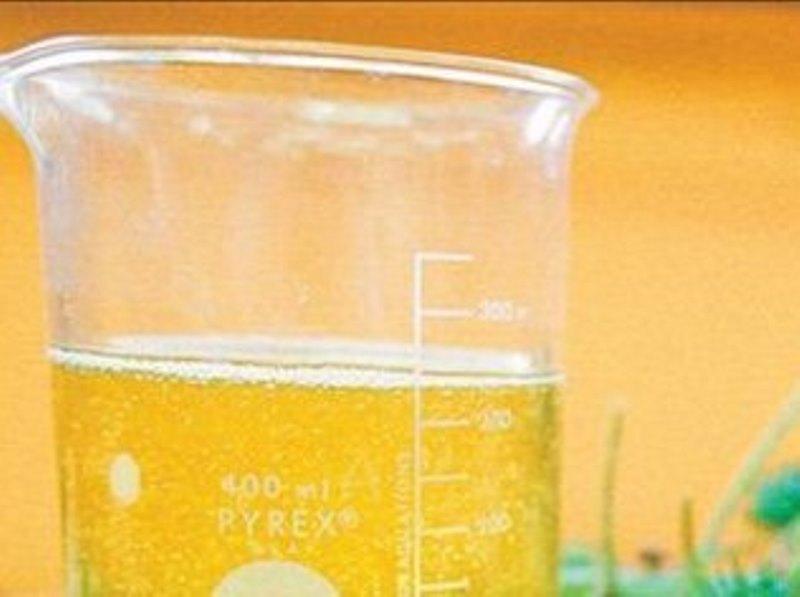 Etanol deve ganhar mais procura no Brasil do que a nova gasolina
