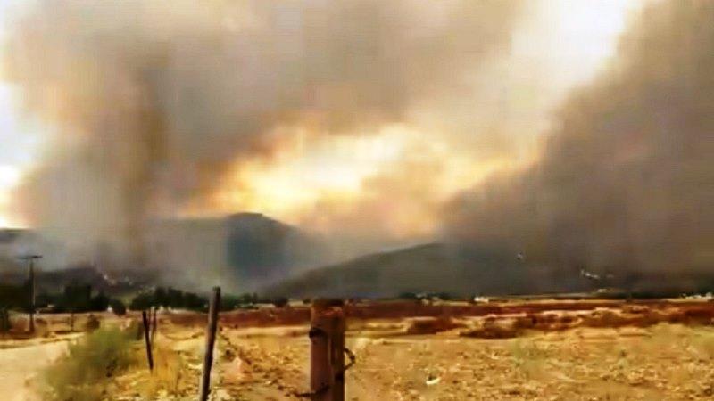 Chá de revelação causa incêndio florestal