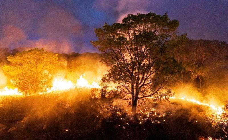 Incêndios levam Mato Grosso do Sul a decretar situação de emergência