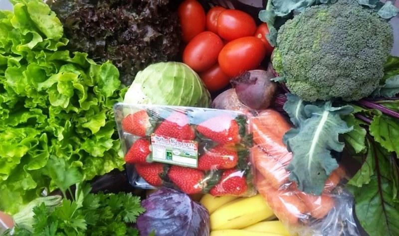 Entrega de cestas de produtos orgânicos e agroecológicos cresce 136% na pandemia
