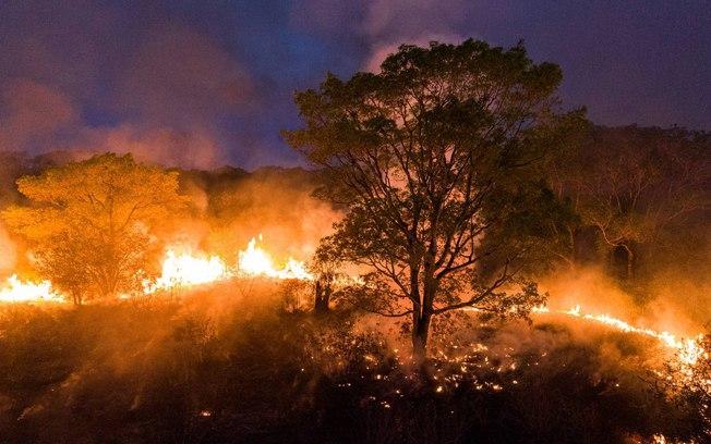 Biomas brasileiros perdem mais de 480 quilômetros quadrados da área em 18 anos