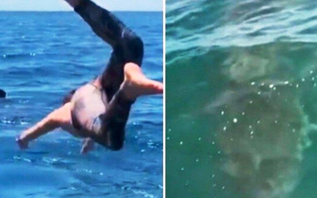 Homem mergulha para nadar com tubarão pensando ser inofensivo