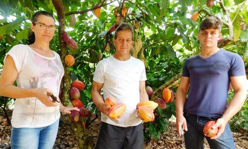 Cultivo de cacau e produção de chocolate pelas mesmas mãos