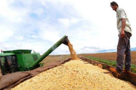Governo zera taxa de importação de soja e milho para conter inflação
