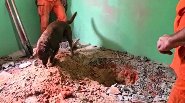Mulher mata o ex-marido e enterra o corpo debaixo do piso de concreto da casa; cadáver estava no local há 4 anos