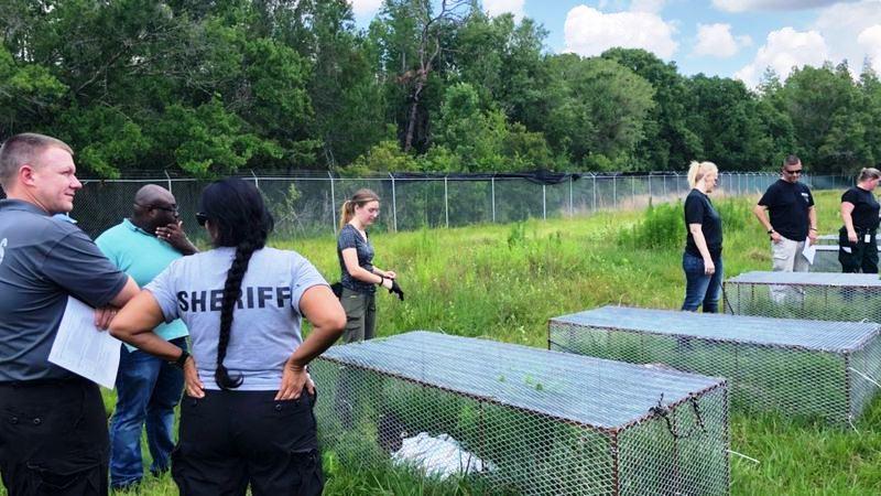 ‘Fazendas de cadáveres’ onde corpos se decompõem ao ar livre