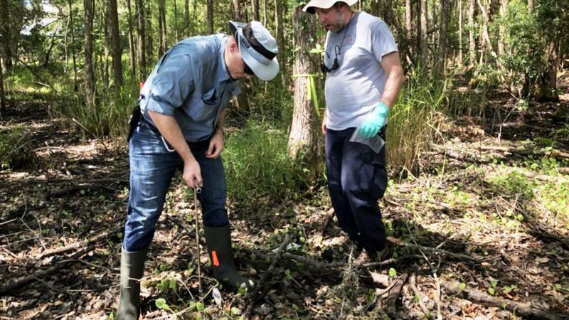 ‘Fazendas de cadáveres’ onde corpos se decompõem ao ar livre