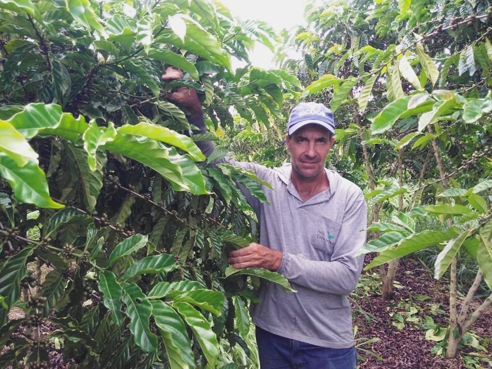 Produção de café sustentável e tecnológica recebe suporte do Incaper em Sooretama, no ES