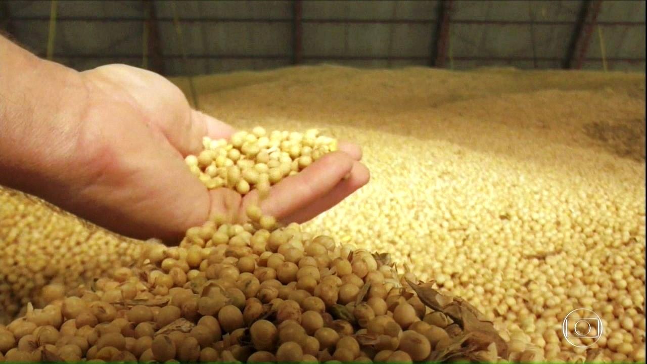 Cooperativa do Paraná reparte R$ 139 milhões de lucro entre agricultores associados