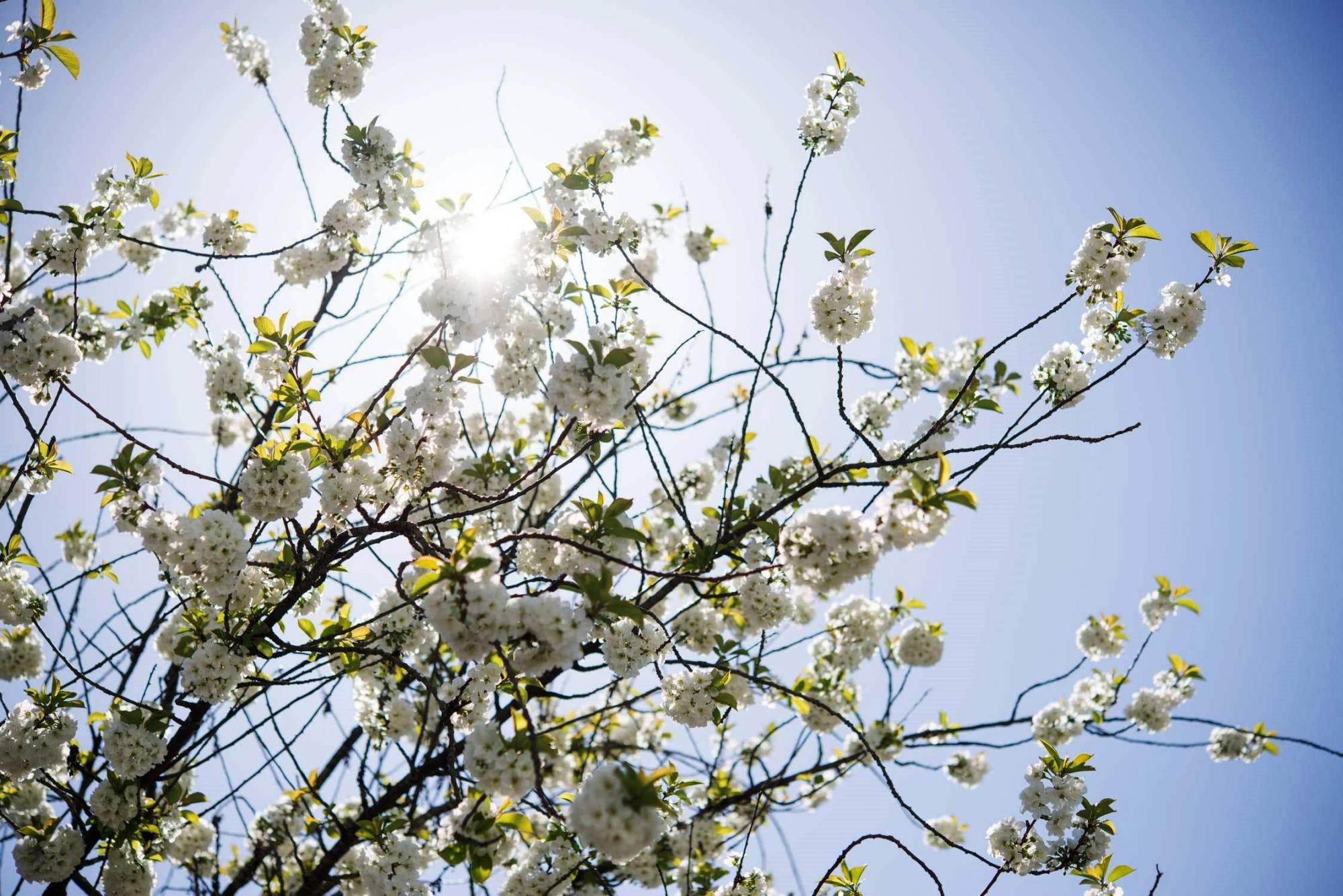 Primavera termina com sol forte e tempo abafado no Espírito Santo. Confira a previsão para o domingo (19)