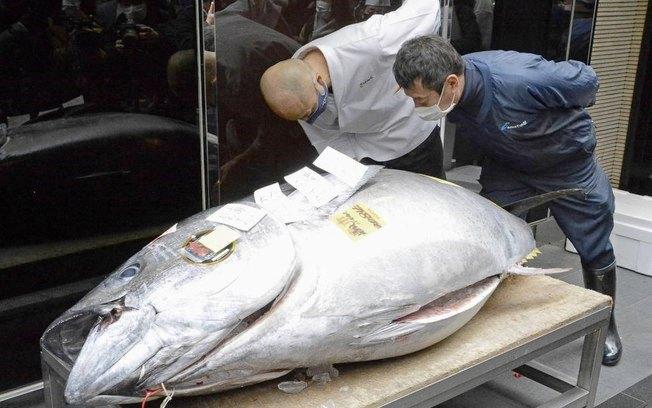 Atum é vendido por mais de R$ 1 milhão em leilão no Japão