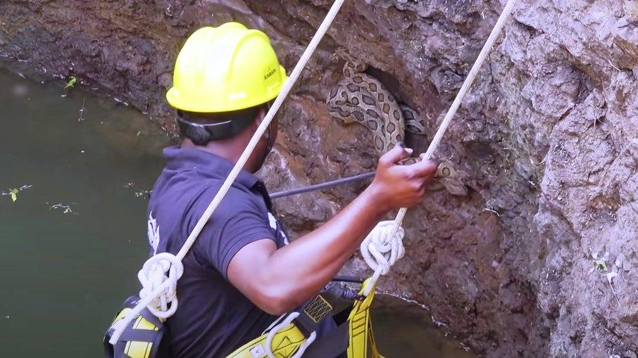 Homem se arrisca em poço para resgatar cobras venenosas