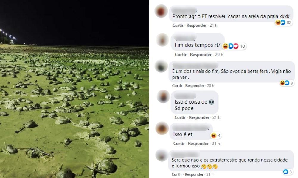 ‘Bolas misteriosas’ tomam praia no litoral de SP e intrigam moradores: 'Impressionante'