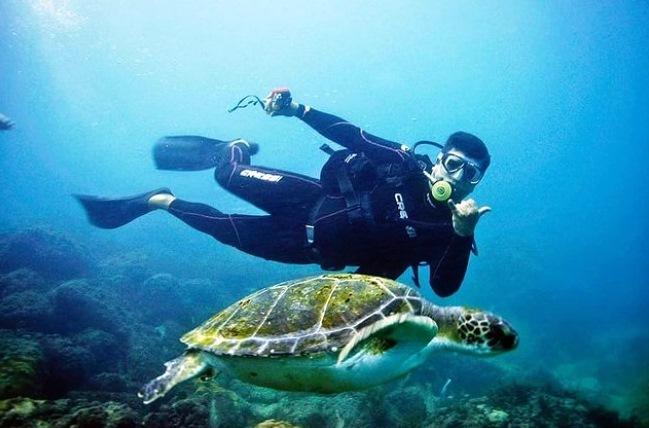 5 lugares incríveis para mergulhos no Brasil