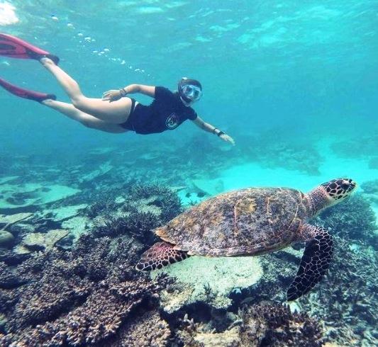 5 lugares incríveis para mergulhos no Brasil