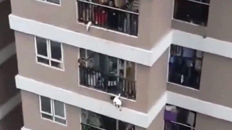 Menina de três anos cai do 12º andar de prédio e é salva por entregador