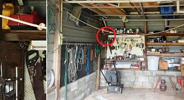 Píton camuflada em garagem desafia a web. Consegue achá-la?