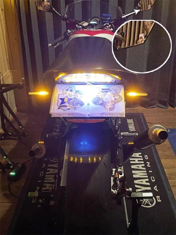 Influencer japonesa motociclista é desmascarada; trata-se de um homem de 50 anos