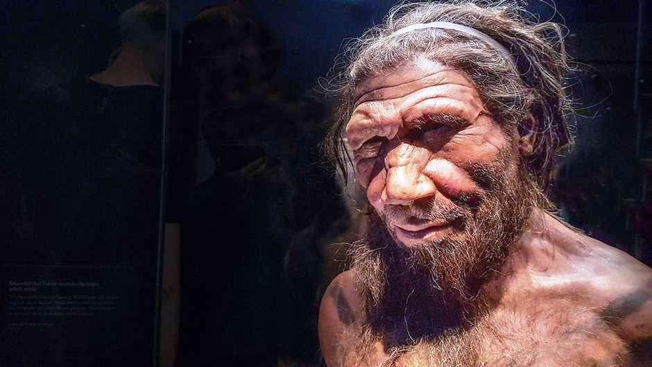 Como eram as relações sexuais dos neandertais