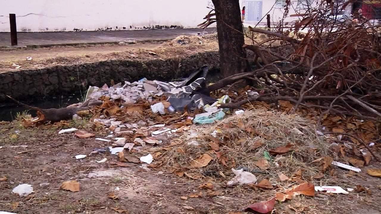 Recém-nascida é encontrada abandonada em meio ao lixo