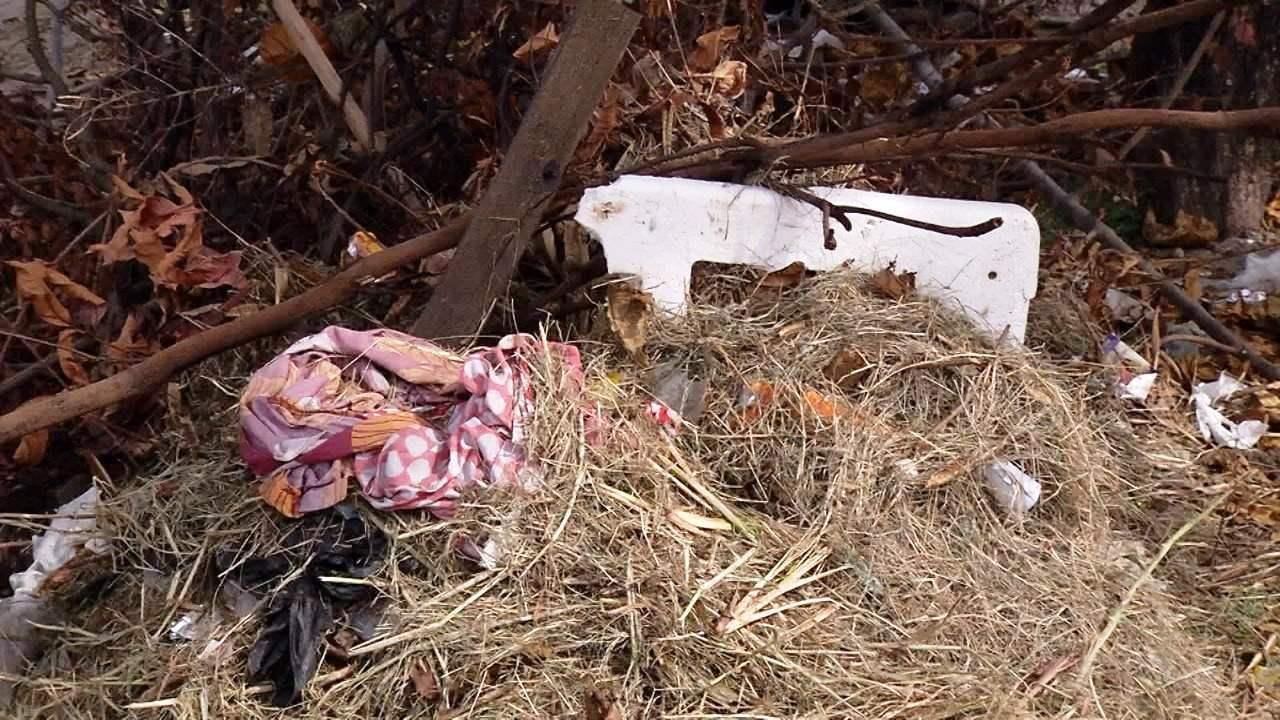 Recém-nascida é encontrada abandonada em meio ao lixo