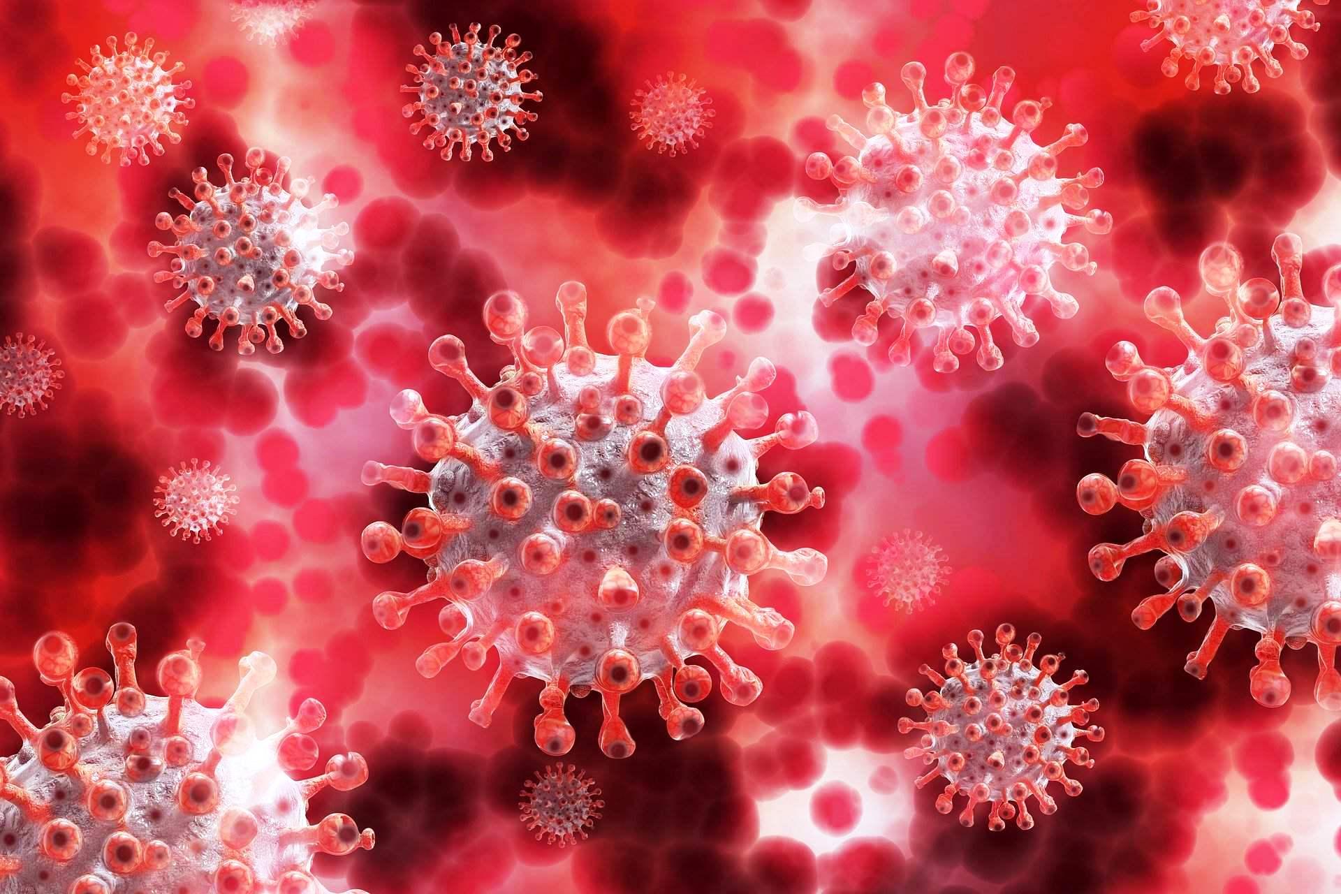ES ultrapassa 9.5 mil mortes pelo coronavírus e casos chega a 437.862 