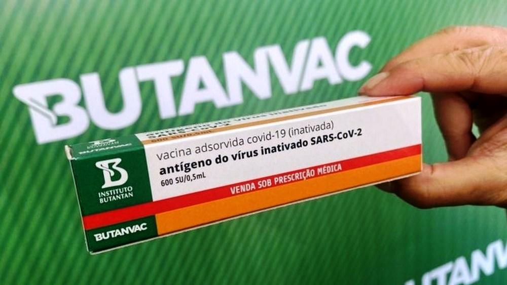 ButanVac vai usar 20 milhões de ovos de galinha para produzir 40 milhões de vacinas