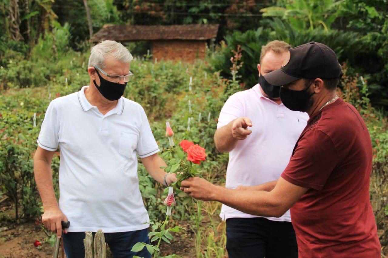 Comércio de rosas segue em alta mesmo sem festas por conta da pandemia