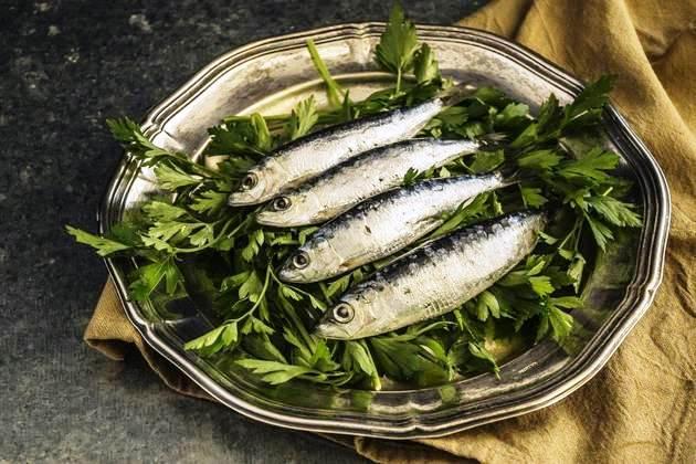 Comer sardinhas regularmente ajuda a prevenir diabetes tipo 2, diz estudo