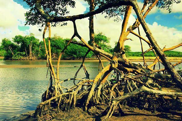Parque Estadual de Itaúnas, em Conceição da Barra, ganhará Trilha de Longo Curso